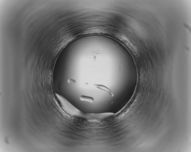 X0000096461233200802071827