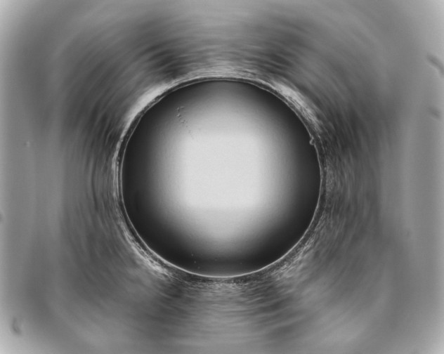 X0000096461238200802071827