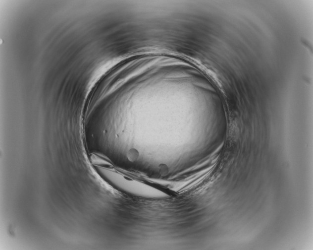 X0000096461239200802071827