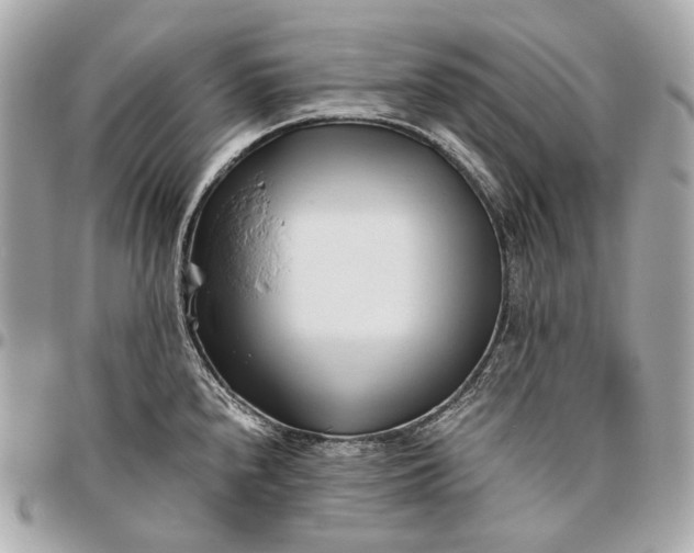 X0000096461240200802071827