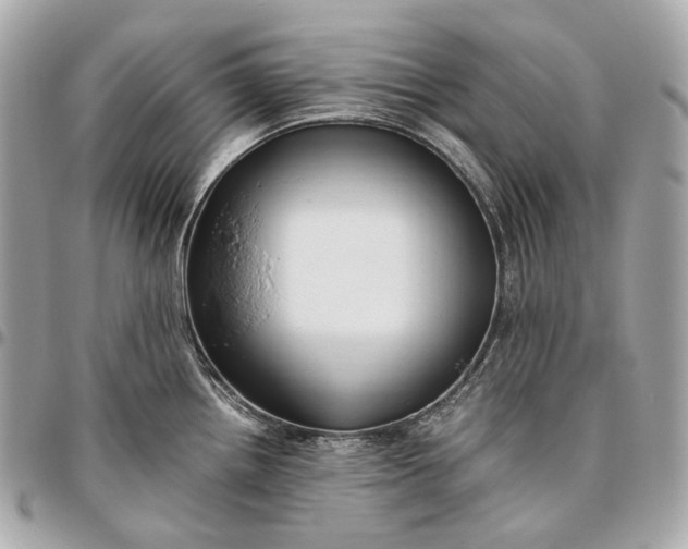 X0000096461242200802071827
