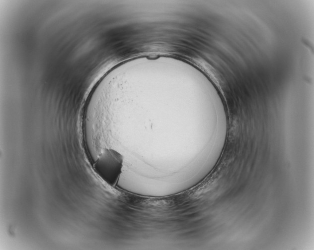 X0000096461243200802071827