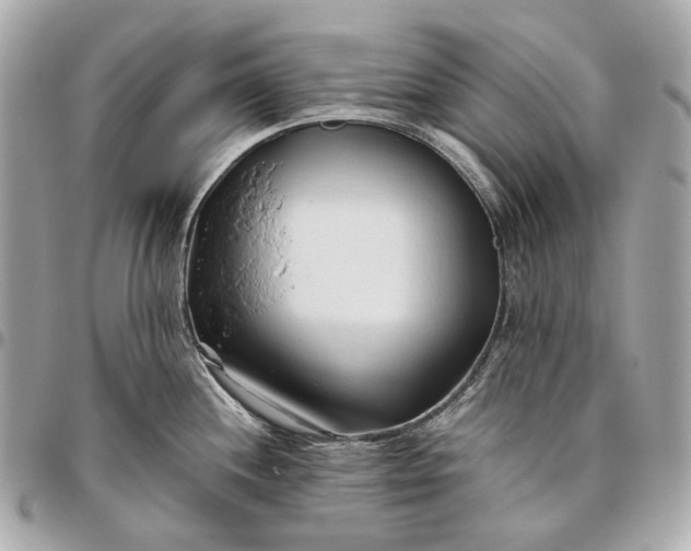 X0000096461244200802071827