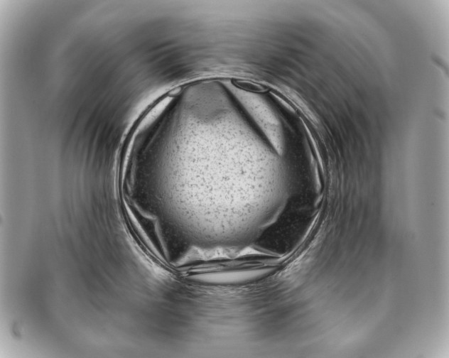 X0000096461246200802071827