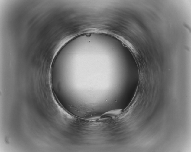 X0000096461247200802071827