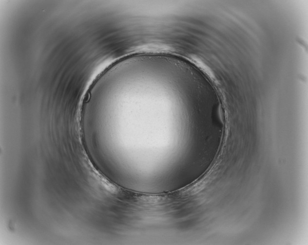 X0000096461248200802071827