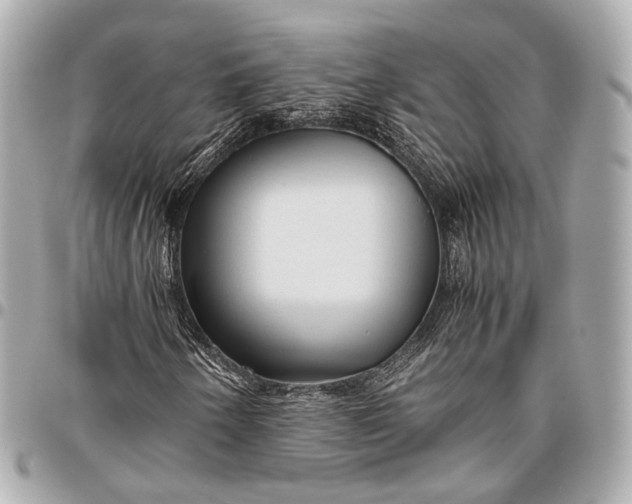 X0000096461250200802071826