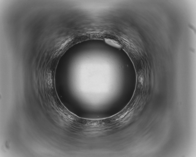 X0000096461252200802071826