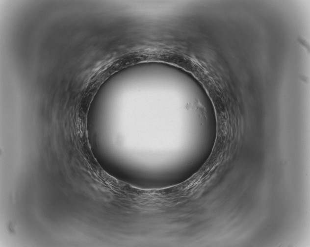 X0000096461253200802071826