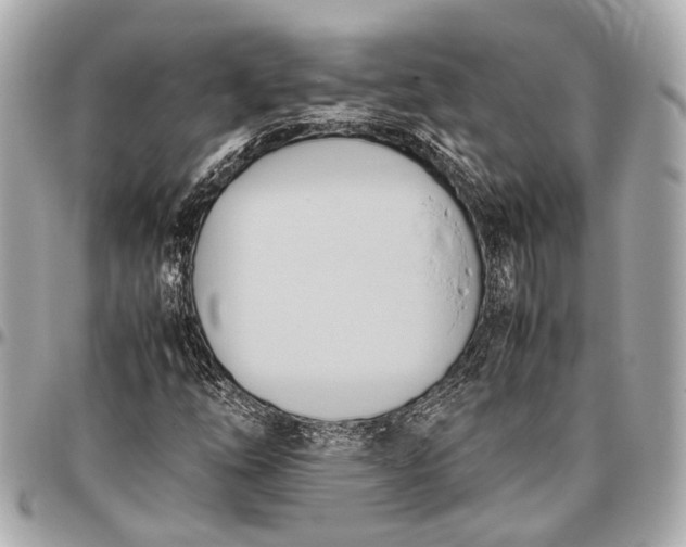 X0000096461254200802071826