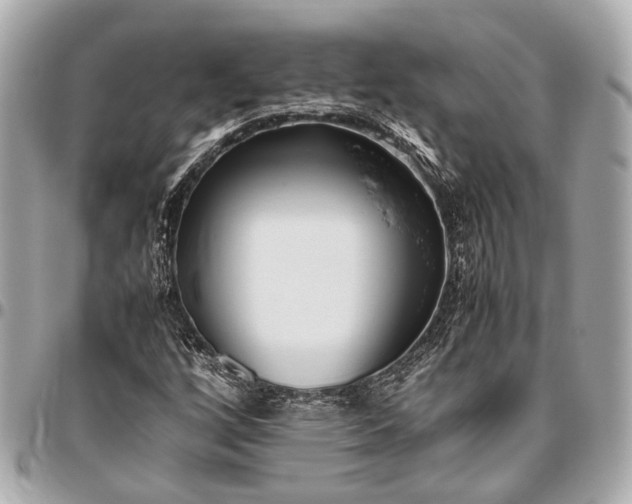 X0000096461256200802071826
