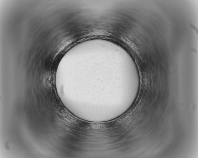 X0000096461258200802071826