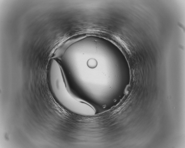 X0000096461260200802071826