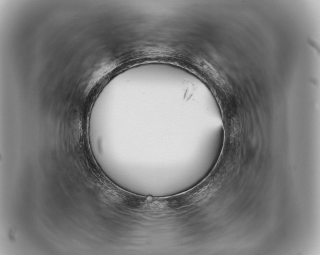 X0000096461261200802071826