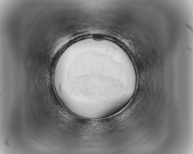 X0000096461263200802071826