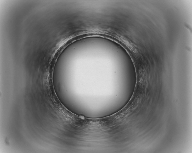 X0000096461264200802071826
