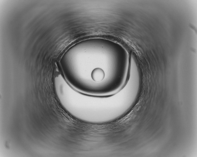 X0000096461265200802071826
