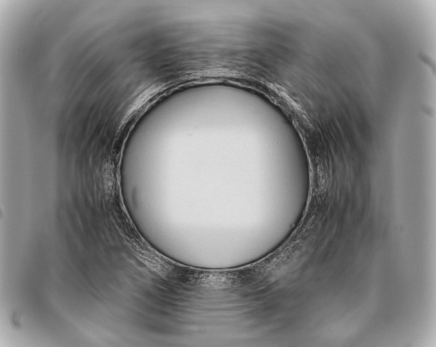 X0000096461266200802071826