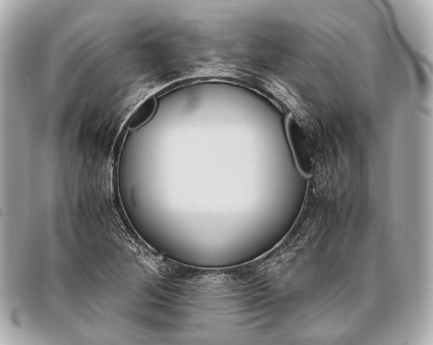 X0000096461268200802071826