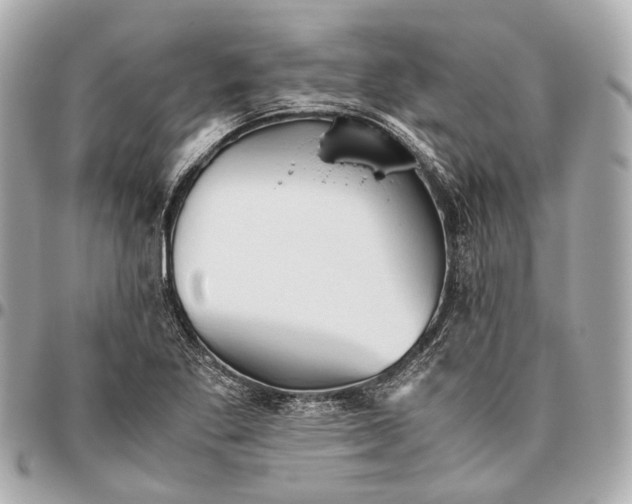 X0000096461269200802071826