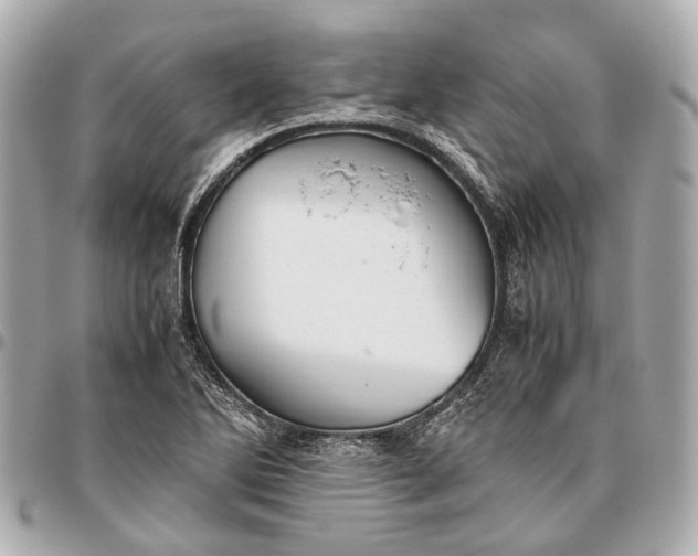 X0000096461270200802071826