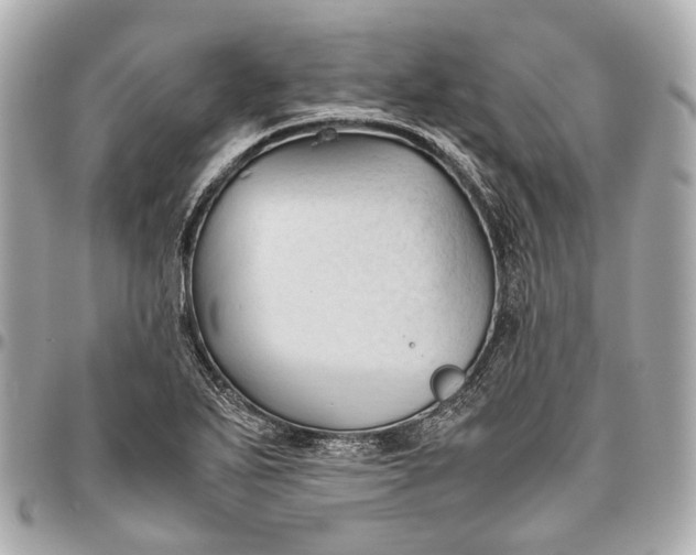 X0000096461271200802071826