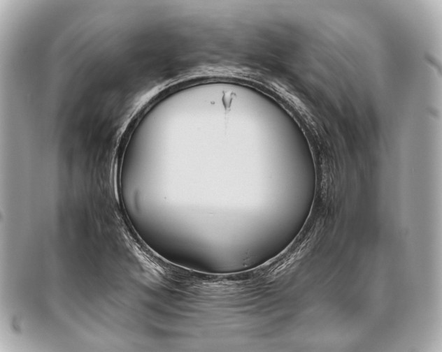 X0000096461272200802071826