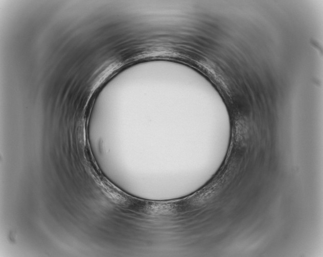 X0000096461274200802071826