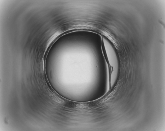 X0000096461275200802071826
