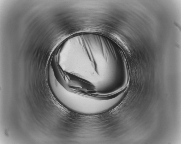 X0000096461276200802071826