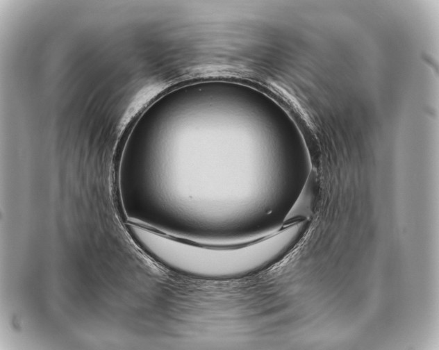 X0000096461277200802071826
