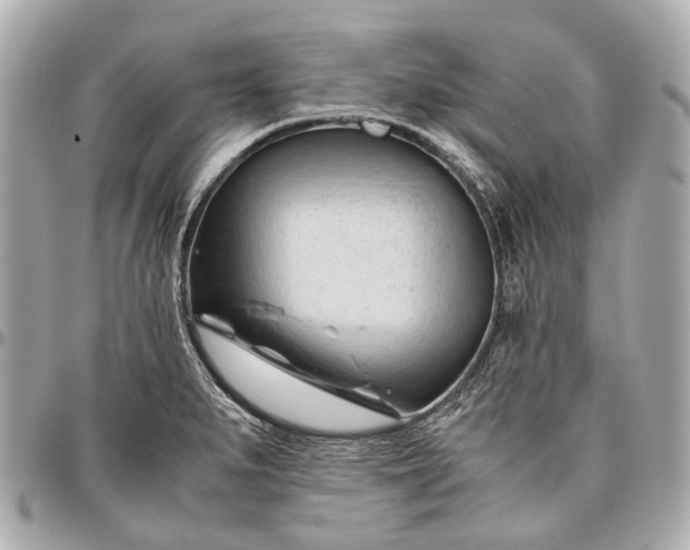 X0000096461279200802071826
