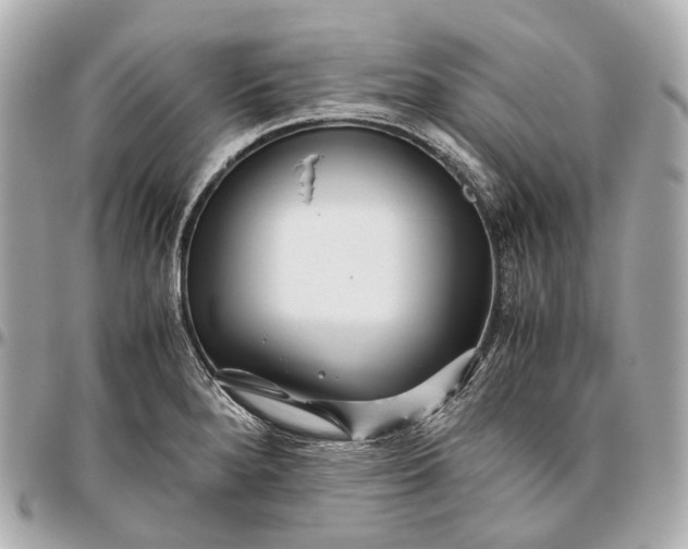 X0000096461280200802071826