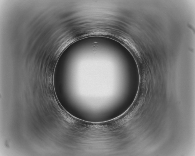 X0000096461281200802071826