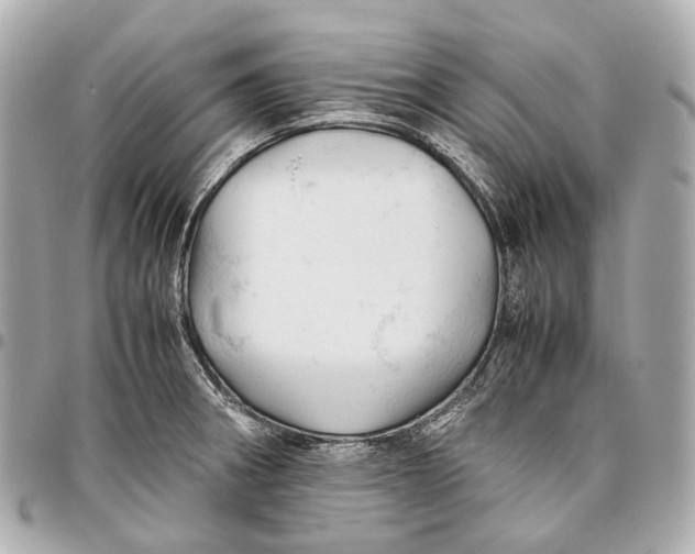 X0000096461282200802071826
