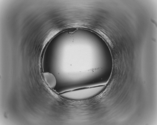 X0000096461285200802071826