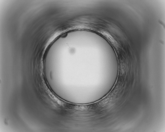 X0000096461286200802071826
