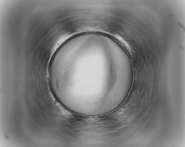 X0000096461287200802071826