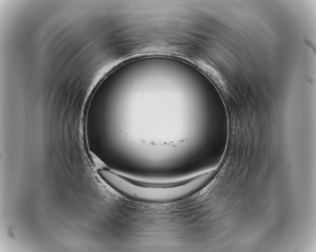 X0000096461288200802071826