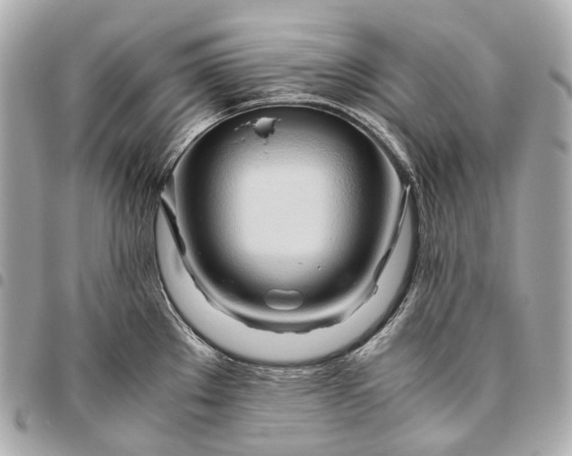X0000096461289200802071826