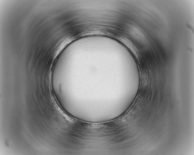 X0000096461290200802071826