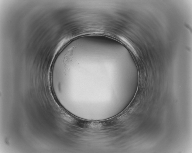 X0000096461291200802071826