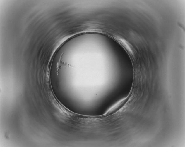 X0000096461292200802071826
