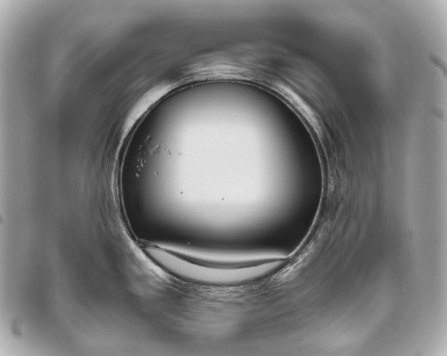 X0000096461293200802071826