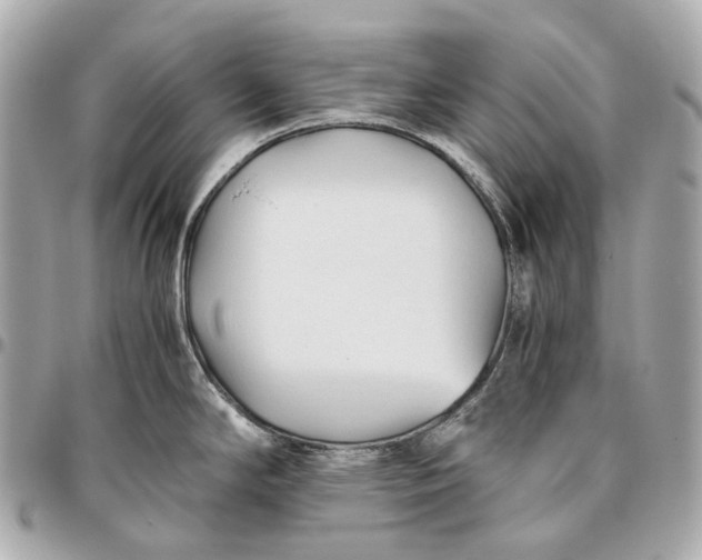 X0000096461294200802071826