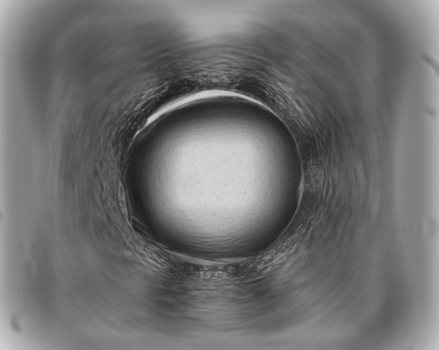 X0000096461297200802071825