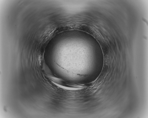 X0000096461298200802071825
