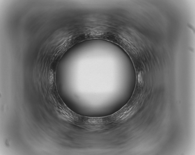 X0000096461299200802071825