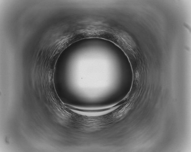 X0000096461300200802071825