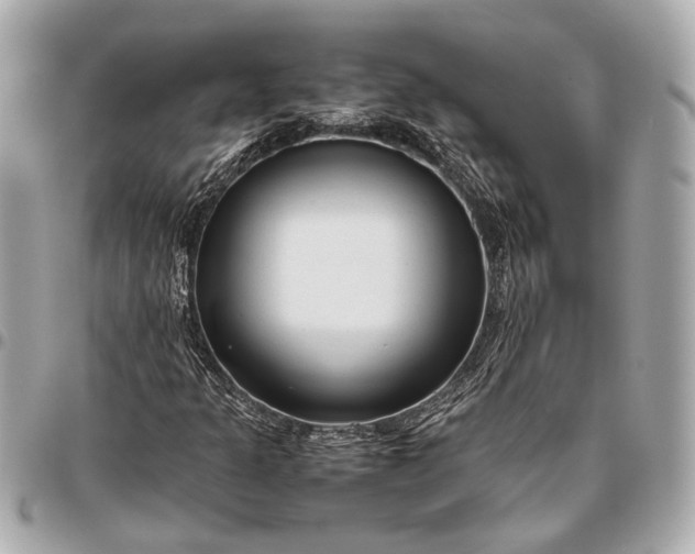 X0000096461301200802071825